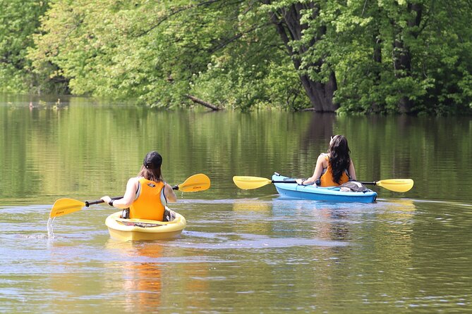 Ottawa: Ecological Reserve Kayak Tour with Turtle Sightings - Key highlights worth planning for