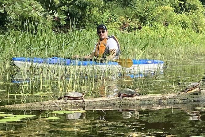 Ottawa: Ecological Reserve Kayak Tour with Turtle Sightings - Price and value: is $47 worth it?