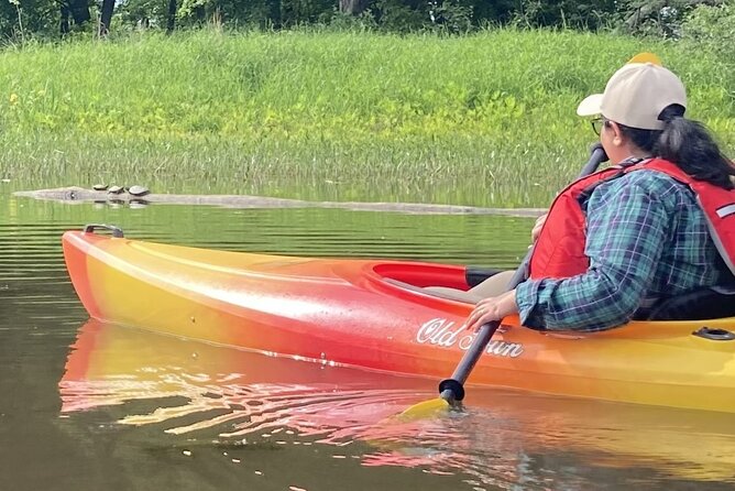 Ottawa: Ecological Reserve Kayak Tour with Turtle Sightings - What to bring, what not to bring, and water etiquette