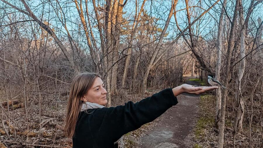 Ottawa: Guided Nature Walk & Wildlife Tour with Hotel Pickup - Key Things to Know Before You Go