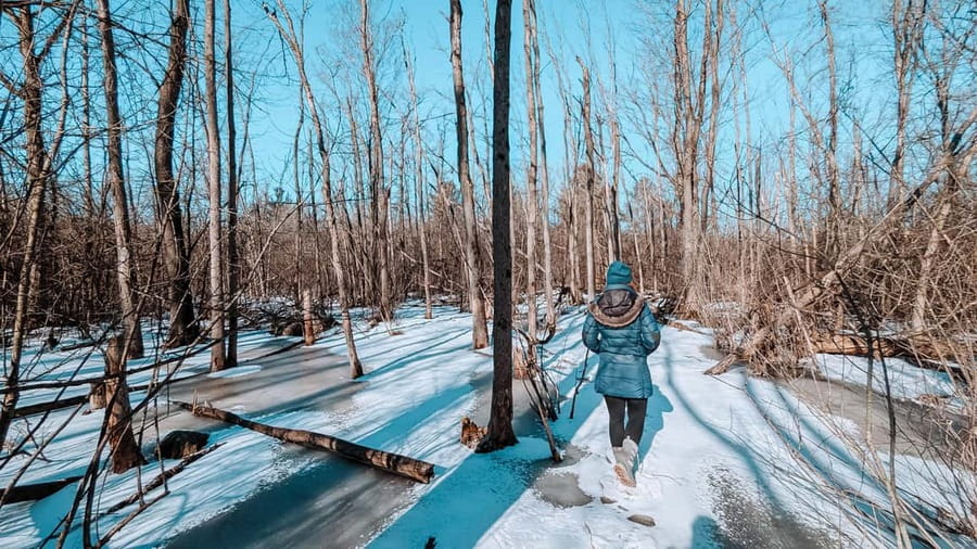 Ottawa: Guided Nature Walk & Wildlife Tour with Hotel Pickup - What to Bring (So You Don’t Waste Any Wildlife Moments)