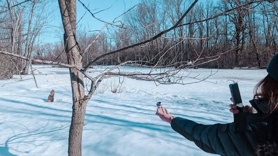 Ottawa: Guided Nature Walk & Wildlife Tour with Hotel Pickup - Languages and Group Style: What It Means for Your Day