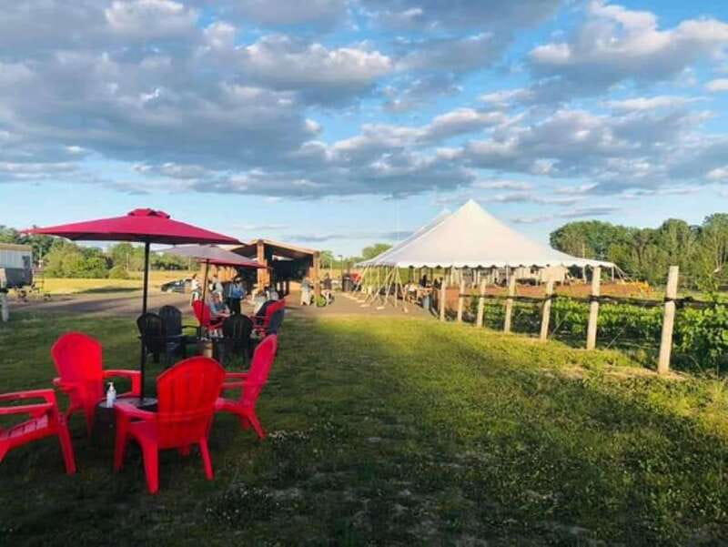 Ottawa: Local Wine and Cider Tour - KIN Vineyards, sustainability and biodynamic wine education