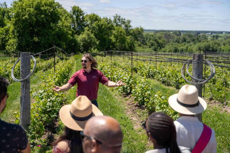 Ottawa: Local Wine and Cider Tour - Farm Gate Cider and Orchard, 6 samples and real cider-making talk