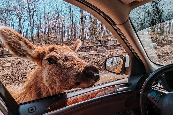 Ottawa Parc Omega Private Tour with Hotel Transfer - Quick Highlights You Will Actually Use
