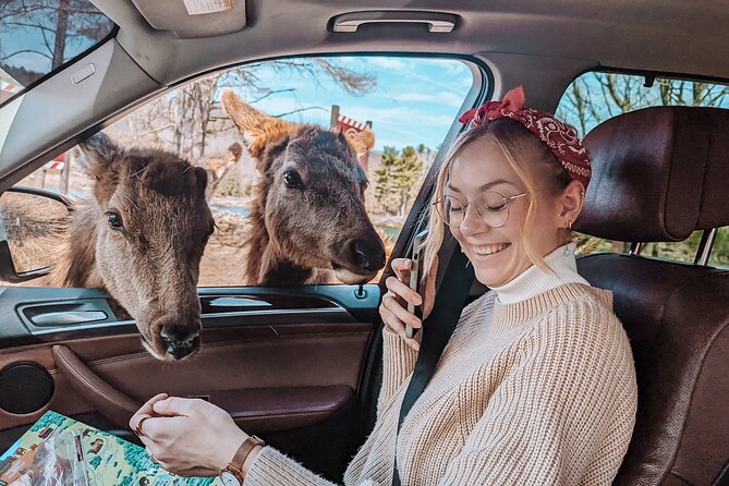 Ottawa Parc Omega Private Tour with Hotel Transfer - Hotel Pickup to Parc Omega Drive: The Easy Part That Matters