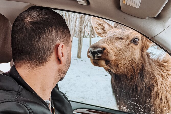 Ottawa Parc Omega Private Tour with Hotel Transfer - Price and Value: $253.67 Per Person, and What You Are Paying For