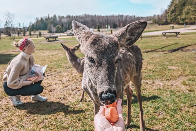 Ottawa Parc Omega Private Tour with Hotel Transfer - Who This Private Parc Omega Tour Is Best For