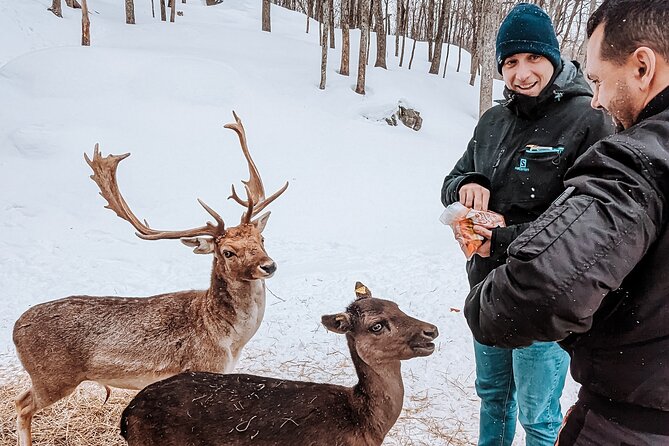 Ottawa Parc Omega Private Tour with Hotel Transfer - Practical Booking Notes That Can Save Your Stress