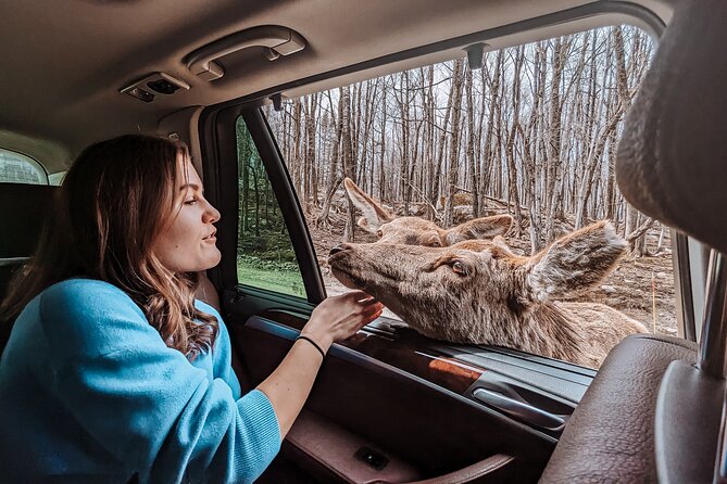 Ottawa Parc Omega Private Tour with Hotel Transfer - Entering Parc Omega: Deer Carrots and “Close, But Safe” Viewing