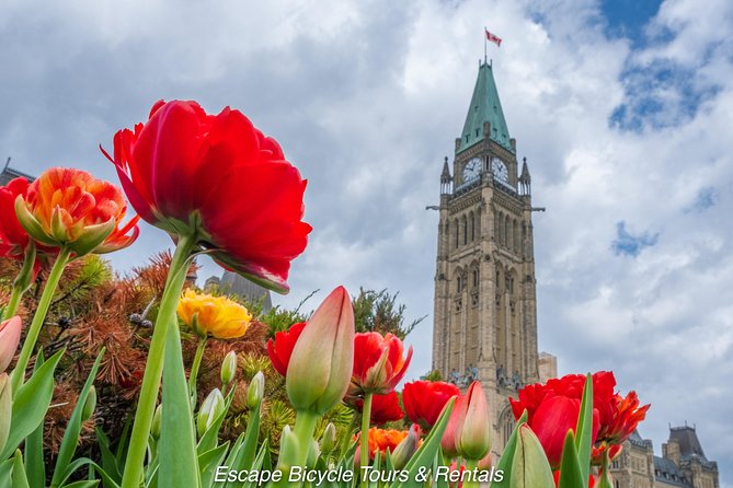 Ottawa Spring Tulip Festival Bike Tour - Why This Tulip Festival Bike Ride Hits the Sweet Spot in May