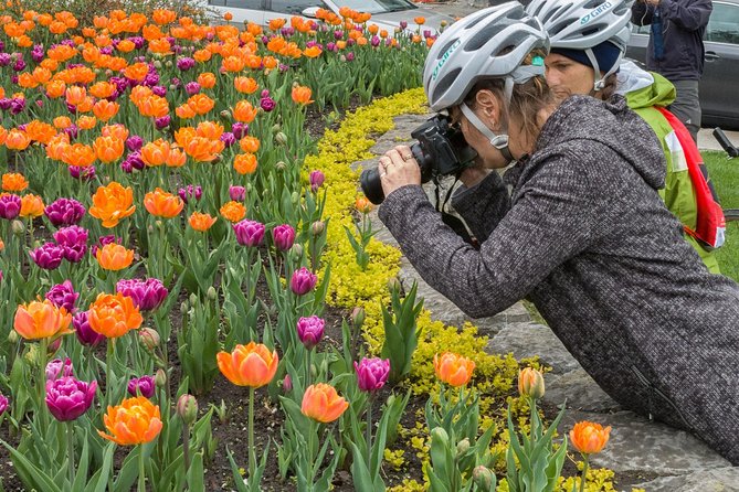 Ottawa Spring Tulip Festival Bike Tour - Rideau Canal to Lansdowne Park: Where the Views Start Doing Work
