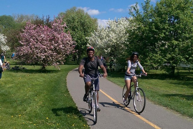 Ottawa Spring Tulip Festival Bike Tour - Dow’s Lake Tulips: Best Photo Time and the Festival Context
