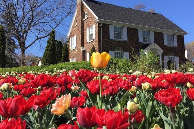 Ottawa Spring Tulip Festival Bike Tour - Little Italy and the River Pathway: A Break from Pure Festival Territory
