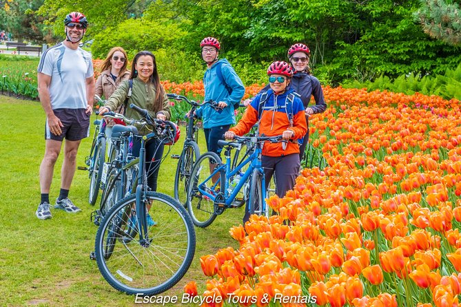 Ottawa Spring Tulip Festival Bike Tour - Canadian War Museum and Chaudière Falls: A Short Stop With Big Payoff