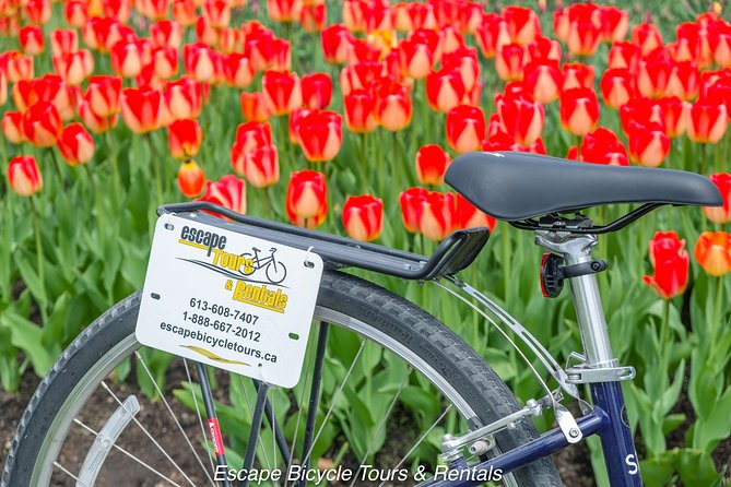 Ottawa Spring Tulip Festival Bike Tour - Bytown Museum Finish: Ending at an Old Stone Building and the Locks View
