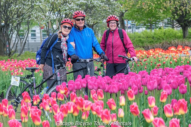 Ottawa Spring Tulip Festival Bike Tour - Price and Value: Why $66.69 Can Feel Like a Fair Deal