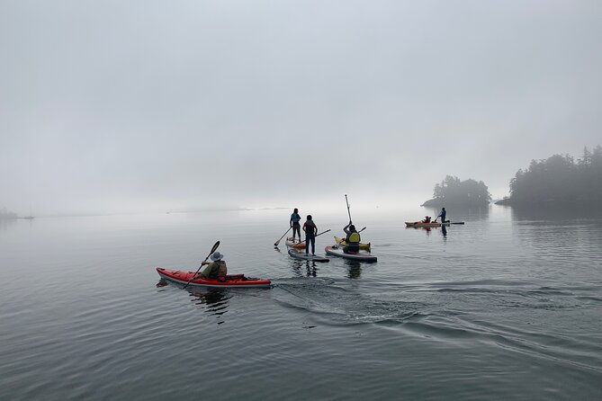 Paddling Esquimalt Harbor to Cole Island - Wildlife spotting in Esquimalt Harbour: what to watch for