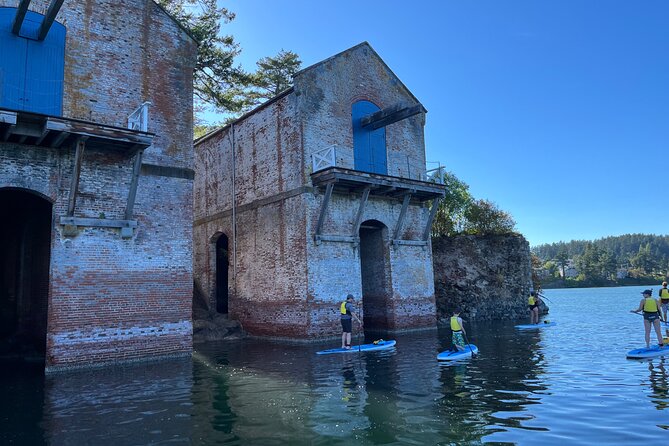 Paddling Esquimalt Harbor to Cole Island - How long it really takes, and how the timing feels at 5:00 pm
