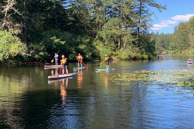 Paddling Thetis Lake - How the instruction works on SUP (and why it helps beginners)