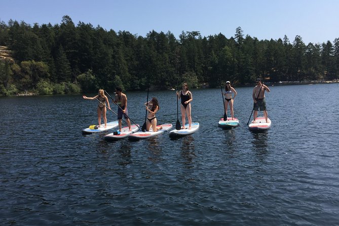 Paddling Thetis Lake - Two hours on Thetis Lake: coves, inlets, and quiet corners