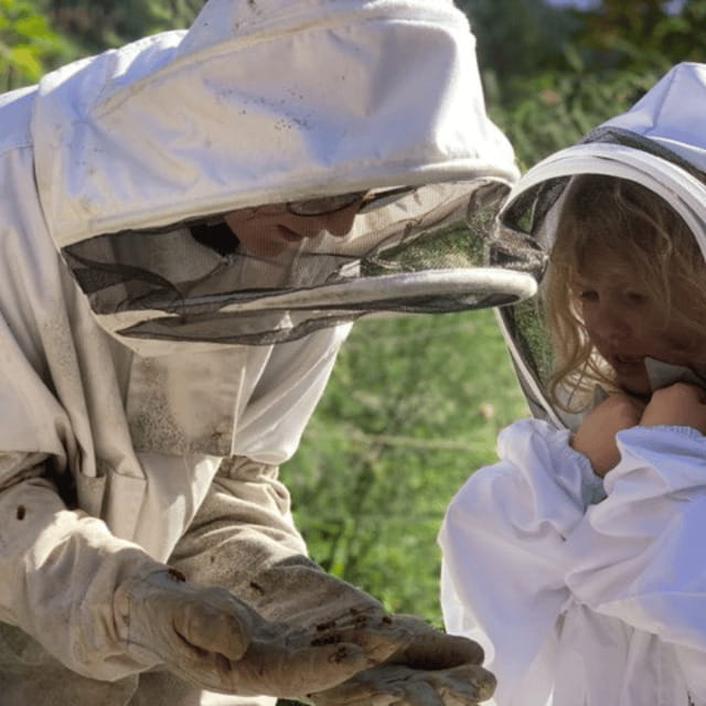 Paradise Valley: Bee Adventure Tour! - Where Paradise Valley Meets an Actual Apiary