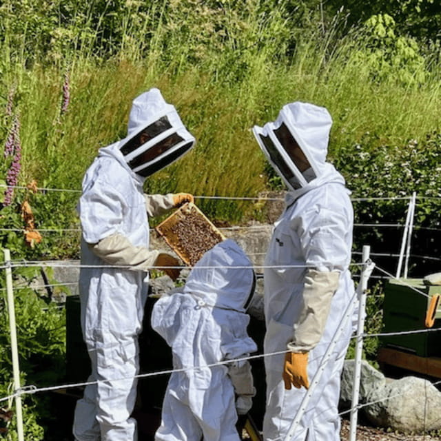 Paradise Valley: Bee Adventure Tour! - Should You Book the Paradise Valley Bee Adventure Tour?