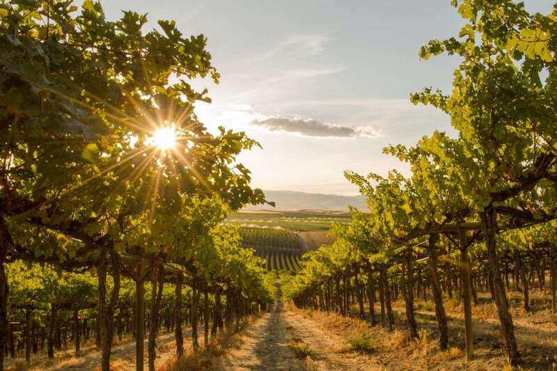 Penticton: Naramata Bench Full Day Guided Wine Tour - Getting Comfortable in a Brand New Air-Conditioned Van