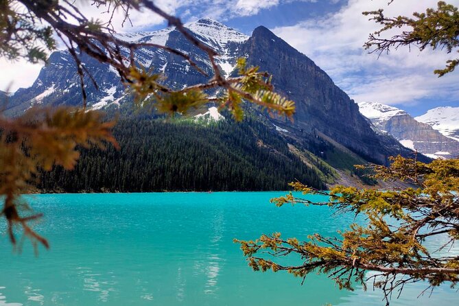 Peyto Lake, Bow Lake Lake Louise Moraine Lake Half Day Tour - Peyto Lake: the wolf’s head and the short hike to Bow Summit