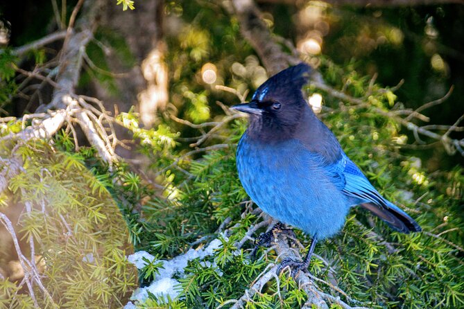 Photography & Advanced Hiking - Trading the city for the Sea-to-Sky Highway