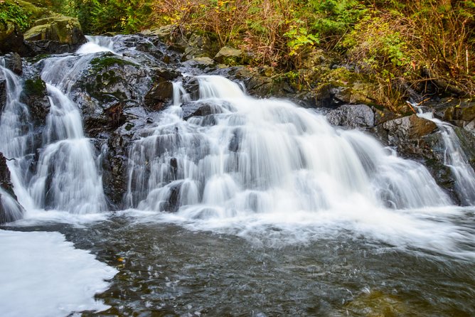 Photography, Hiking & Ferry to Bowen Island - Price and value: what $133.61 really covers