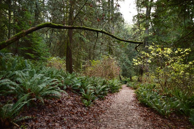 Photography, Hiking & Ferry to Bowen Island - Stop 5, Visitor Centre again: wrap-up photos and island time