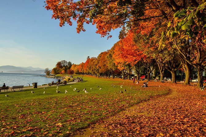Photography & Hiking in Nature - North Shore: Lynn Canyon Park and Lions Gate Bridge for big-tree photos