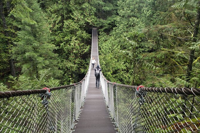 Photography in Rainforest & Suspension Bridge - Lynn Canyon Park: suspension bridge views in old-growth rainforest