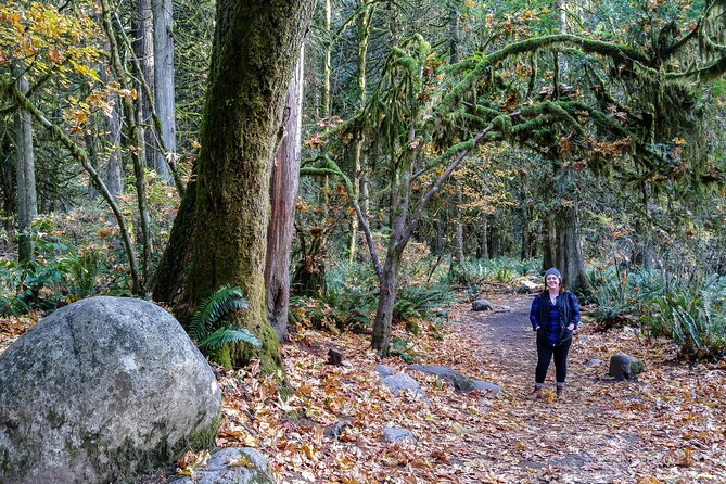 Photography in Rainforest & Suspension Bridge - Cleveland Dam stop: a change of pace for extra photo angles