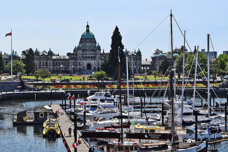 Pickle Pub Crawl: Ferry Rides and Appetizers - The Harbour Water Taxi Rides: Scenic Breaks That Also Save Your Steps
