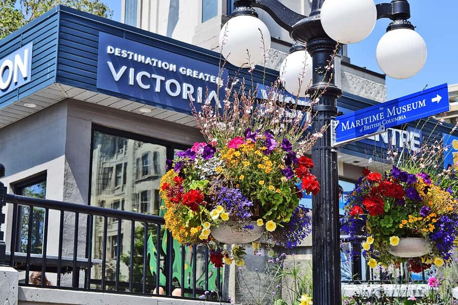 Pickle Pub Crawl: Ferry Rides and Appetizers - Fisherman’s Wharf: Great Waterfront Energy, But Plan for Crowds