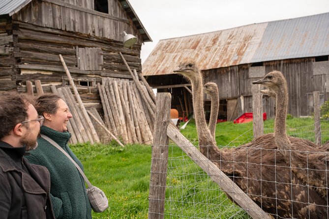 Pontiac Farm Tour - Day Trip From Ottawa & Gatineau - Key reasons this day trip feels worth the money