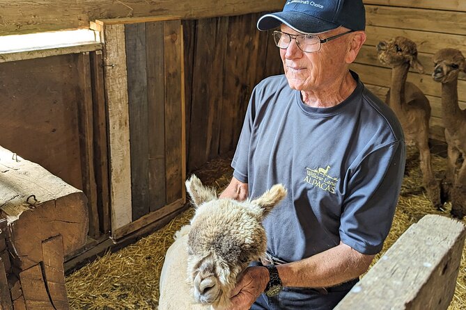 Pontiac Farm Tour - Day Trip From Ottawa & Gatineau - Les Alpagas de Willow Lane: alpacas and the highlight people remember