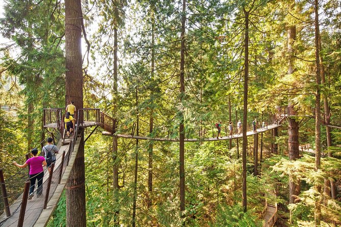Post-Cruise Shore Excursion: Capilano Suspension Bridge & Grouse Mountain - Cruise-day pickup that actually reduces stress