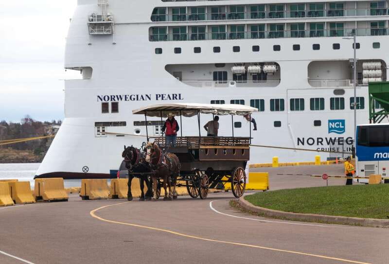 Prince Edward Island: Horse-Drawn Carriage Tour - Founders Hall to the carriage bench, what starts the fun