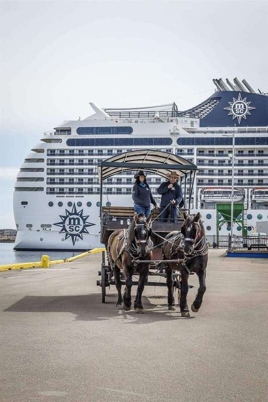 Prince Edward Island: Horse-Drawn Carriage Tour - The guide show: humor, island stories, and plain talk