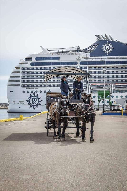Prince Edward Island: Horse-Drawn Carriage Tour - Time with the horses and how photos fit in