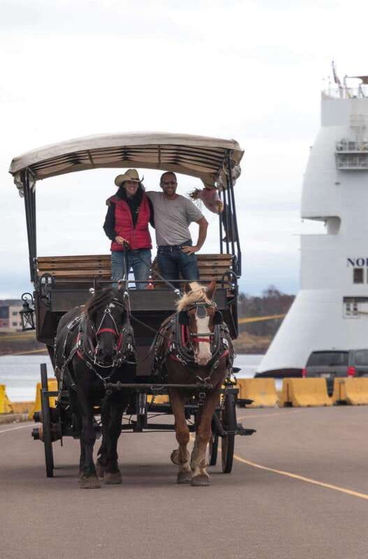 Prince Edward Island: Horse-Drawn Carriage Tour - Duration and pacing: 40 minutes that feel like a real slice