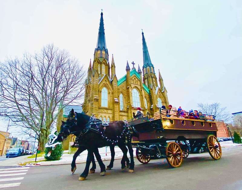 Prince Edward Island: Horse-Drawn Carriage Tour - What to bring, how to dress, and comfort tips that matter