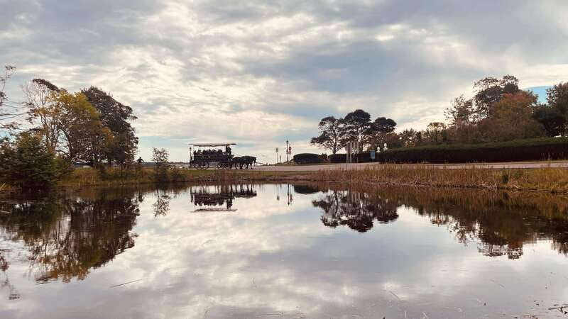 Prince Edward Island: Horse-Drawn Carriage Tour - Who this carriage tour is best for on Prince Edward Island