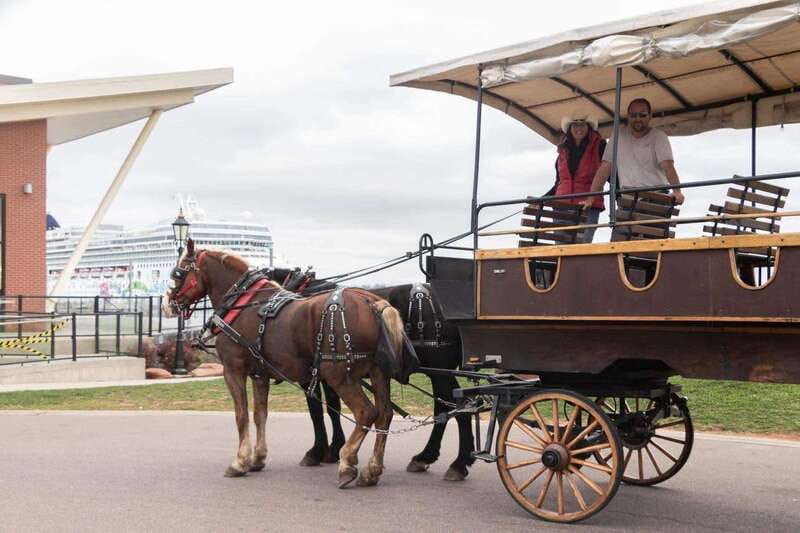 Prince Edward Island: Horse-Drawn Carriage Tour - A simple way to plan your day around the ride