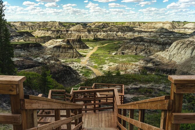 Private Badland Tour - Drumheller First: Royal Tyrrell Museum and Why Fossils Make the Badlands Click