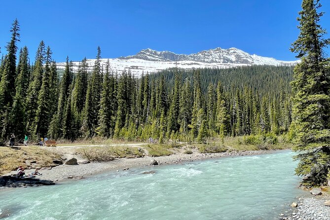 Private Banff and Yoho National Park Tour with Moraine Lake - Lake Louise: Icon Views With a Short, Efficient Stop