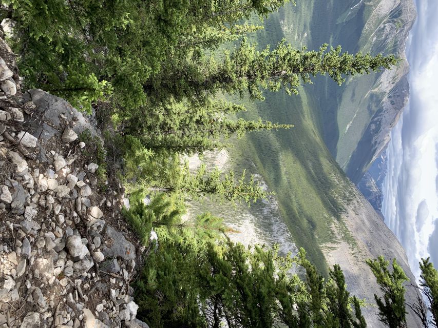 PRIVATE: Bear Country Hiking Tour - 4H Adventure - Canmore transport to the trailhead, and why it’s worth paying for